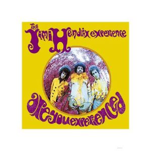 Jimi Hendrix Experience: Are You Experienced?