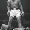 Muhammad Ali vs. Sonny Liston (vertical)