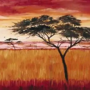 Serengeti Dawn