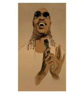 Stevie Wonder