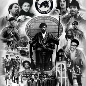 The Black Panther Party