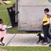 New Kids in the Neighborhood